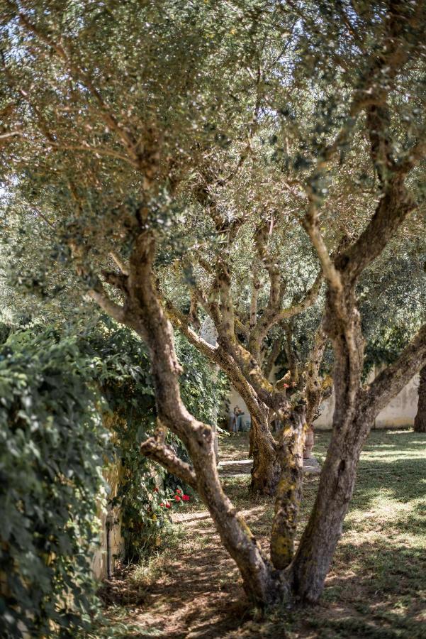 Rodami Artisan Manor Città di Zante
